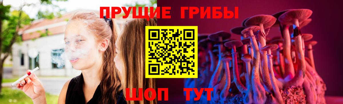 Псилоцибиновые грибы GOLDEN TEACHER  Вход с VPN  Элиста 